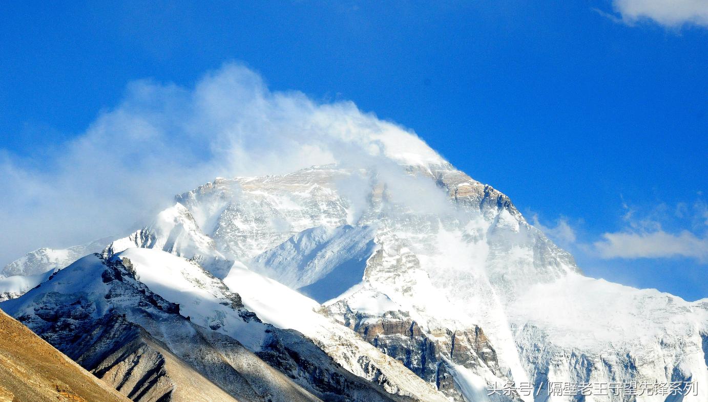 西藏旅游前吃什么药膳,去西藏前吃点什么不会高反