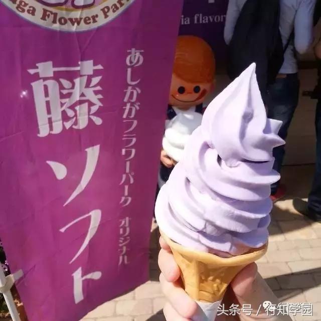 送走了樱花,去日本最梦幻公园吃紫藤花冰激凌吧