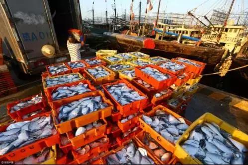 禁渔期内的海鲜产品,禁渔期的海鲜市场价格