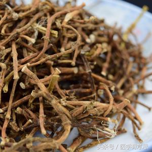 能长期用鱼腥草泡水喝吗,用鱼腥草泡水喝20天身体发生变化