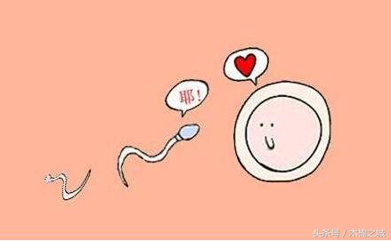 出现这几个症状，十有八九是要排卵了，别错过！