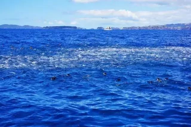 海钓菜鸟必学,海钓基本功练习