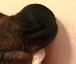 这年头不会脸刹的狗狗肯定不是一条好狗