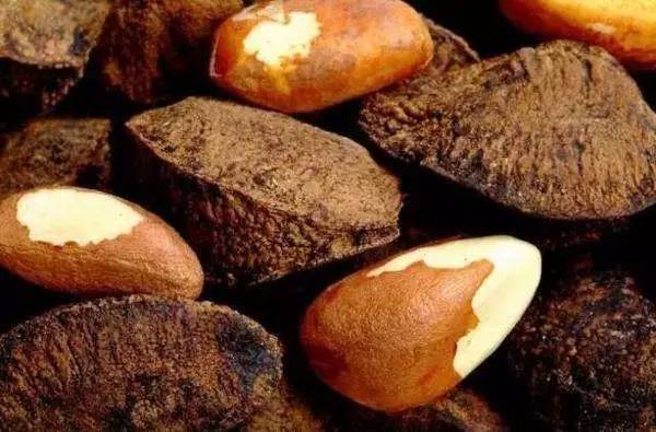 最健康营养的坚果,最有营养的坚果排行榜前十名