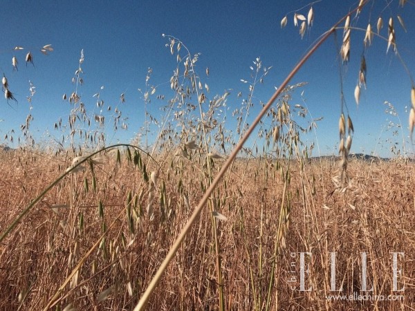 迪奥diorsauvage旷野桀骜清新之水,厉害了word