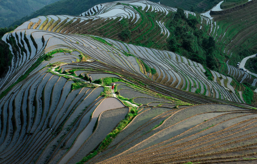 龙胜梯田旅游游记,醉美梯田畲乡