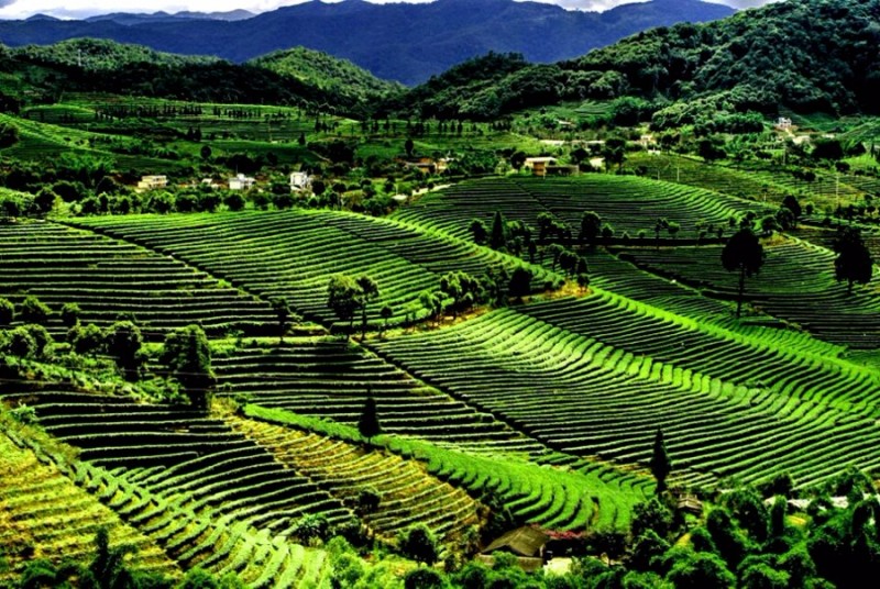 普洱哪个位置风景好看一点,普洱边境风景