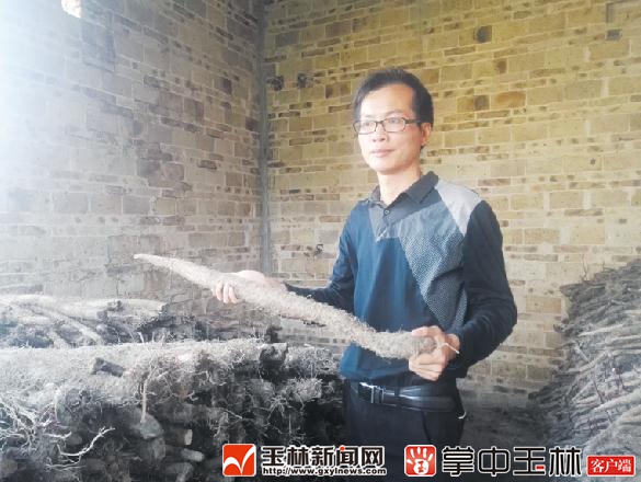 广西开高速公路,广西各个市通高速公路