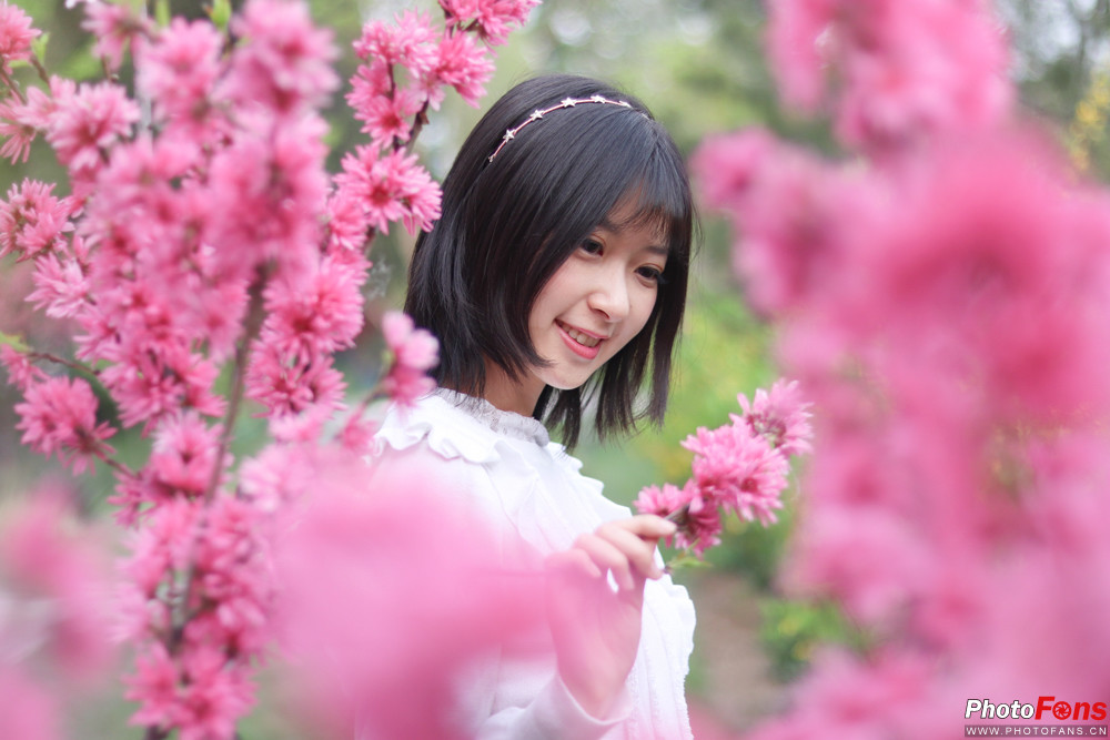 佳能eos77d镜头挑选,小白摄影入门了解佳能77d