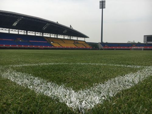 熊猫杯最新消息,熊猫杯现在的状况