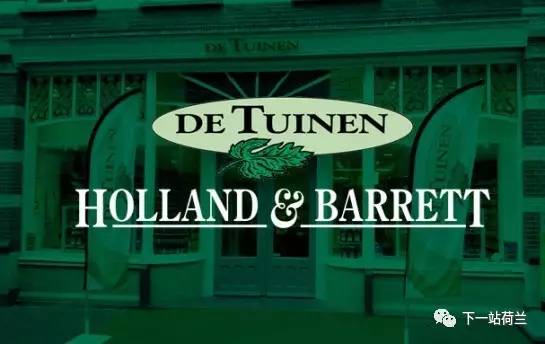 荷兰回国之路,离开荷兰感想