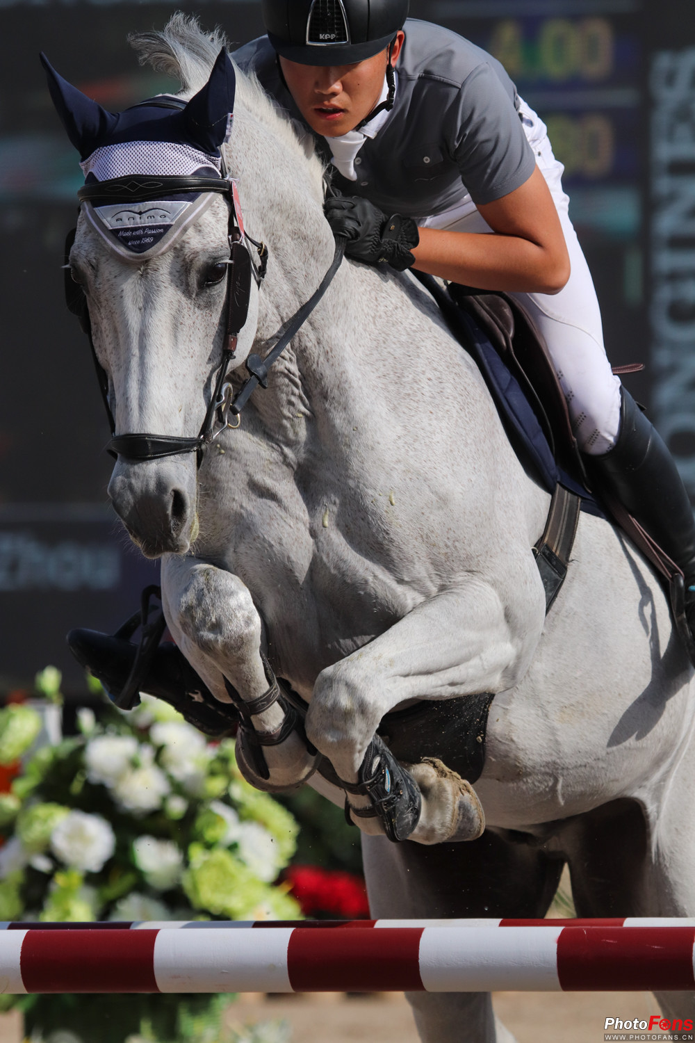 佳能eos77d镜头挑选,小白摄影入门了解佳能77d