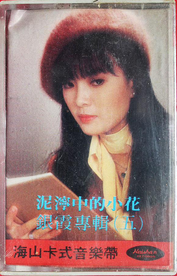 她是甄珍的妹妹,曾经的清纯让邱淑怡黯然失色,现在却疾病缠身