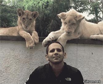 车顶帐篷露营遇到坏人怎么办,野外露营帐篷怎么不会被闷