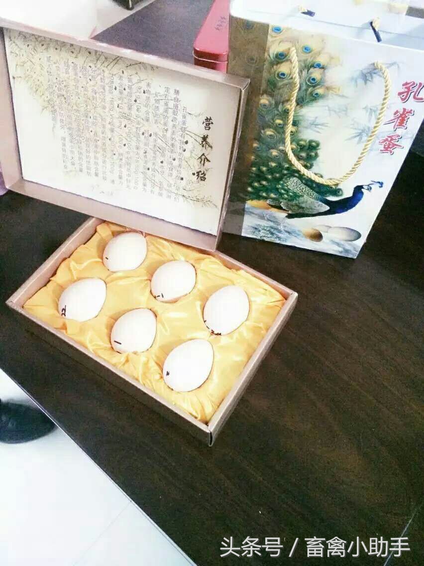 养鸡三年赚钱吗,养鸡赚钱不再愁