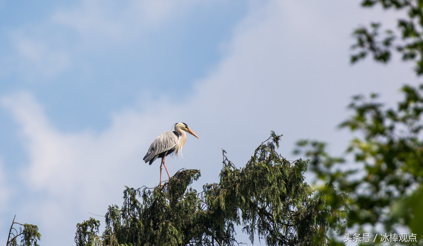 藏在贵州大山深处的惊艳之美,隐藏在贵州大山里的古寨