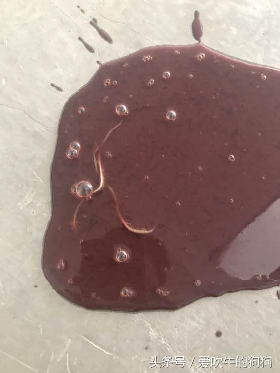 细小治愈全过程,细小治愈后的后遗症