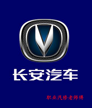 汽车故障求助网友,常见汽车故障问答