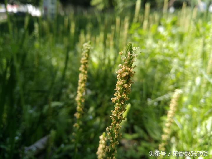 努比亚z17mini专业评测,努比亚z17mini测评最新