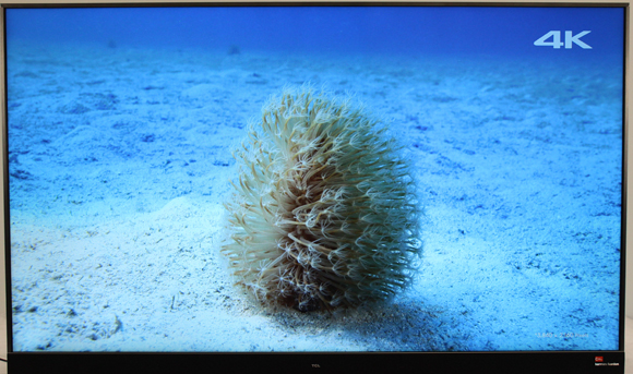 一台电视,一台电视一台投影