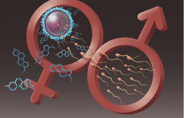 女性避孕药研究成功案例,最新的男性避孕药研究成果