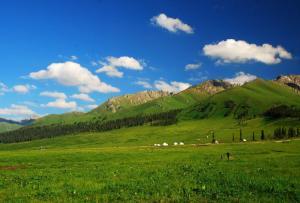 零下30℃，来茶山听泉水叮咚，千年古城蔚州大门为您打开