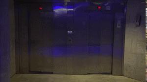 你知道我练习了多少次,才等来这精准一刻