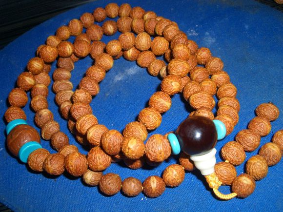 恶魔凤眼菩提产地,枣核冒充凤眼菩提