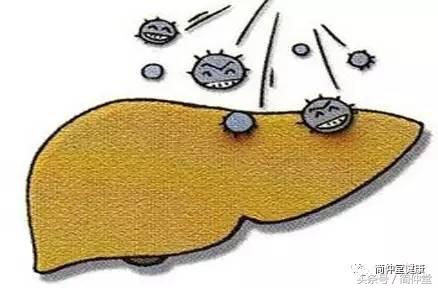 积雪草就是铜钱草吗,积雪草是不是马蹄草