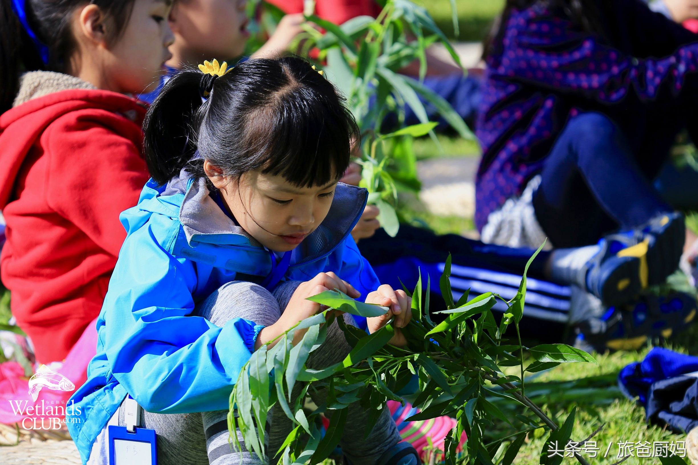 为宝宝驱蚊子,为宝宝驱蚊的办法
