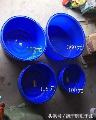 鱼生病三步骤,鱼生病了单独治疗注意事项