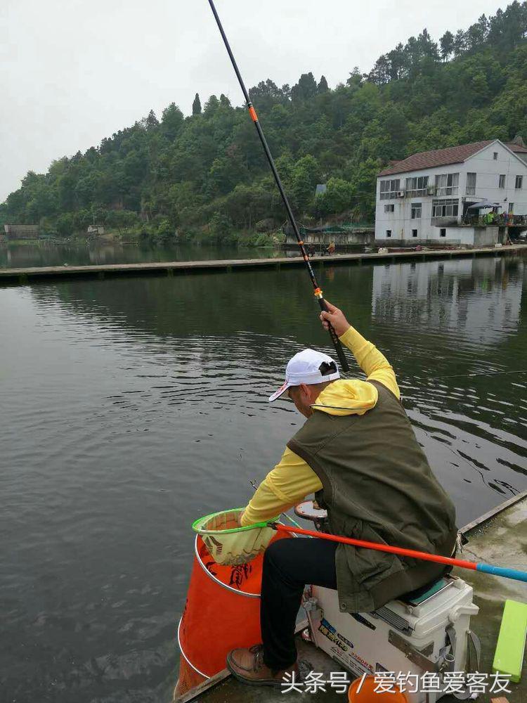 娴呭鑺姵缇庢枃,娴呭鑺姵