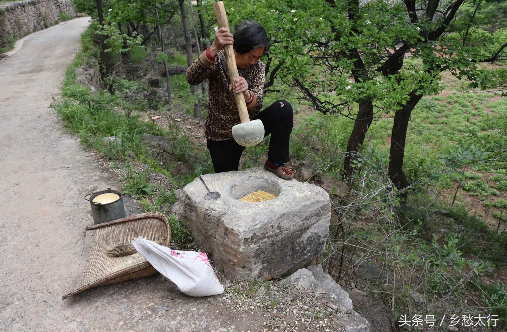 记在心底的玉黍米面条汤