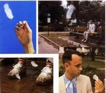 这个世界上有些电影你早晚会去看，就像有些人，你迟早会遇见