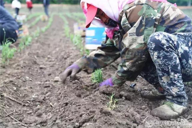 走进森林空气格外清新,走进天然氧吧呼吸新鲜空气