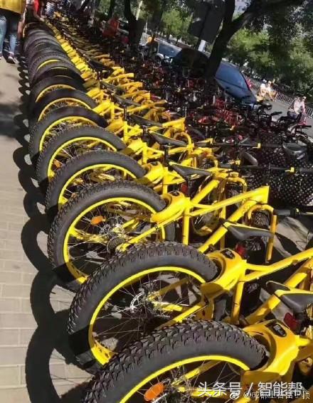 社会素质的放大镜？看国外友人如何给小黄车上私锁