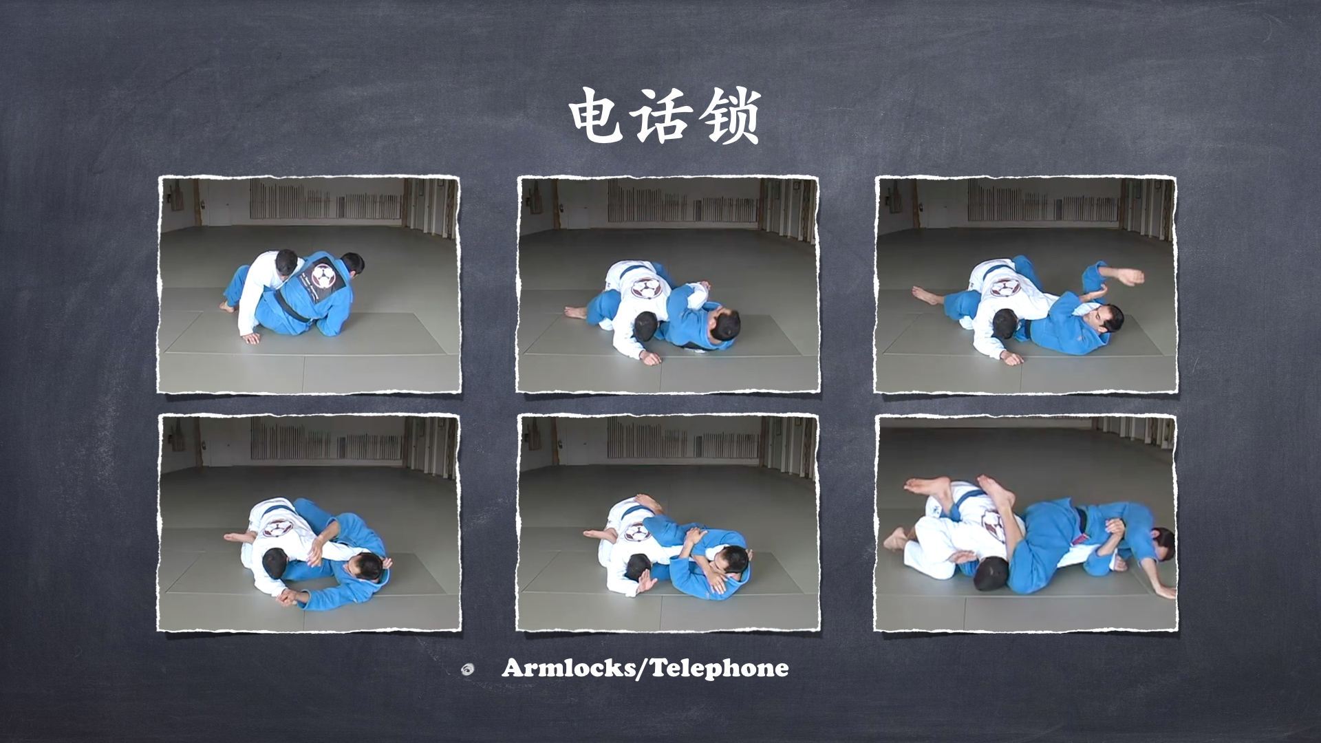 RoyDeans巴西柔术蓝带技术学习大纲