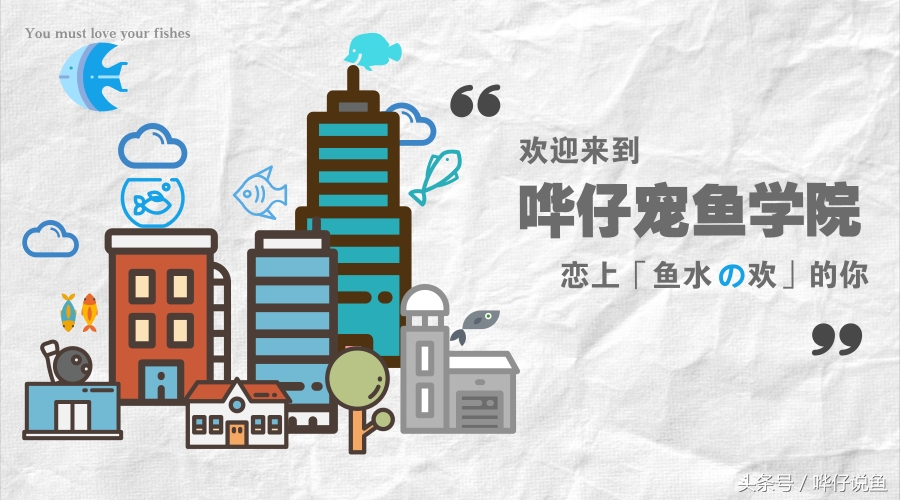 养锦鲤鱼的9大误区,养锦鲤入坑