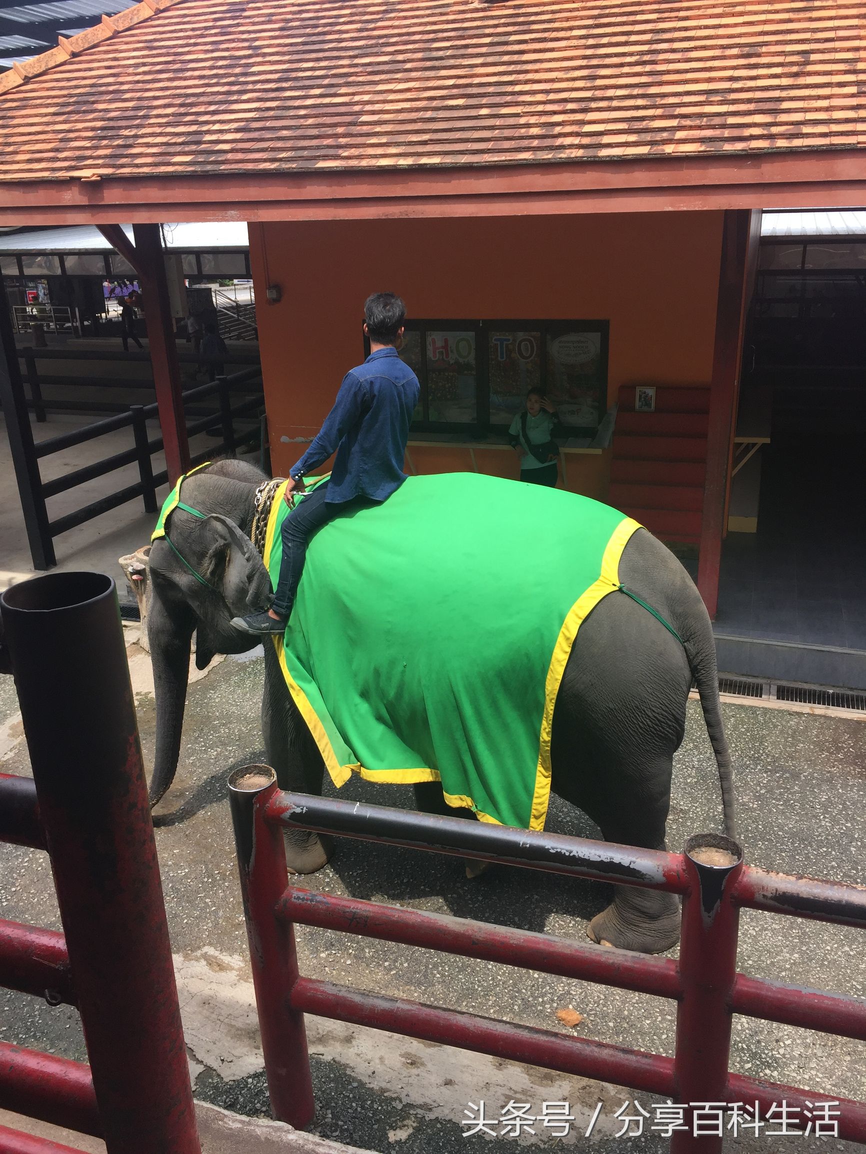 掌握这些技巧，轻松玩转芭提雅自由行！