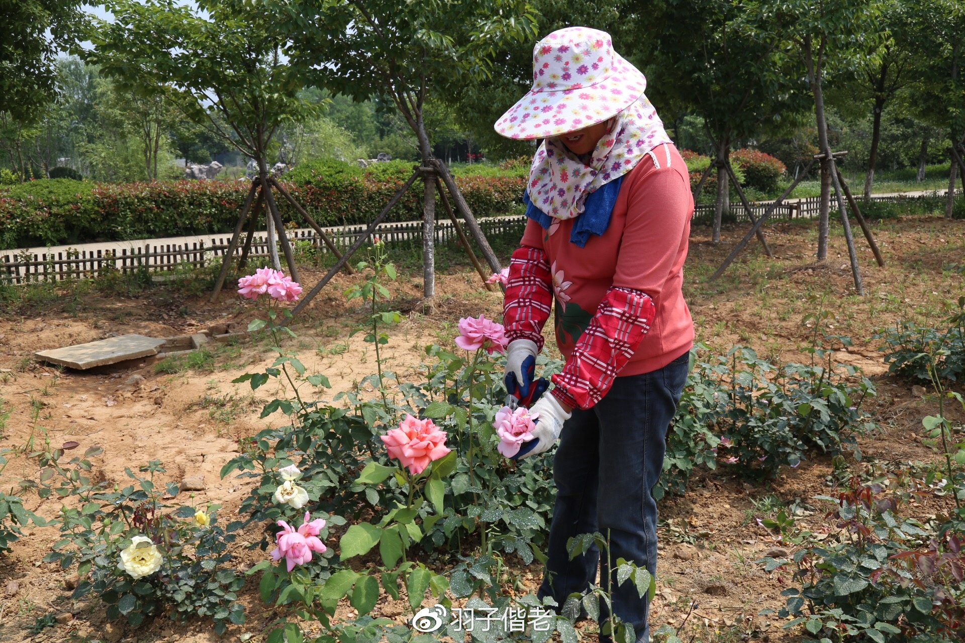 溧阳日日春农庄一日游,溧阳日日春农庄
