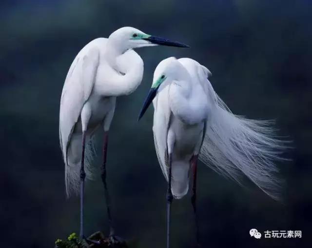 传统文化御窑定瓷,御窑最好的瓷器