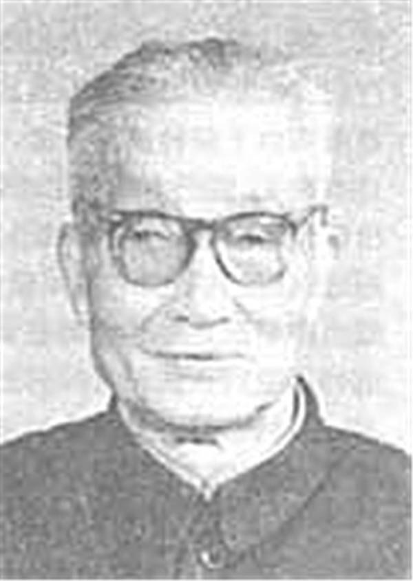 每日花语最新,每日花语火鹤花