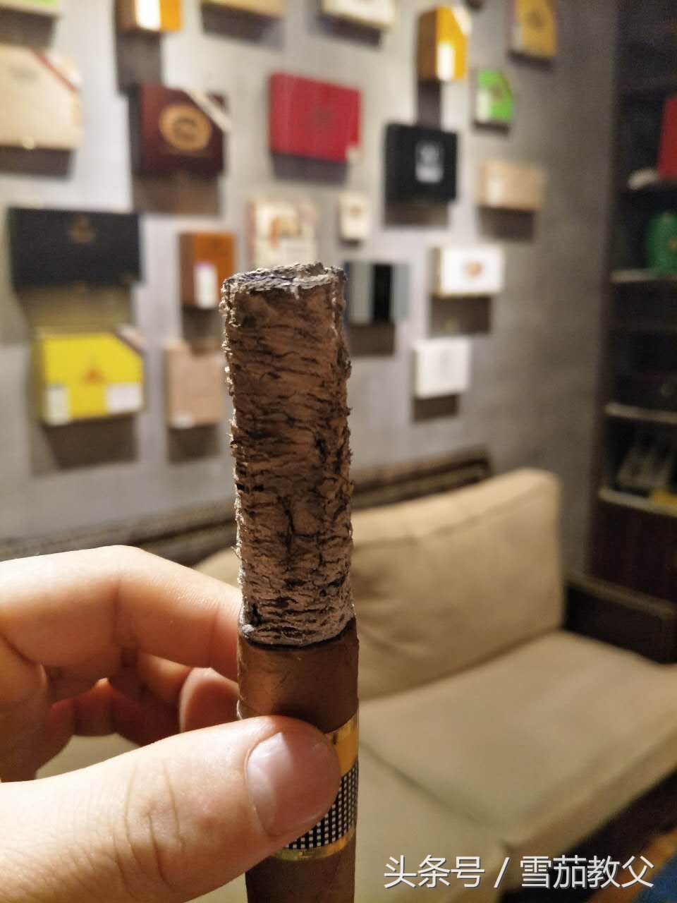 新手雪茄客避坑指南,雪茄入门级口粮选择