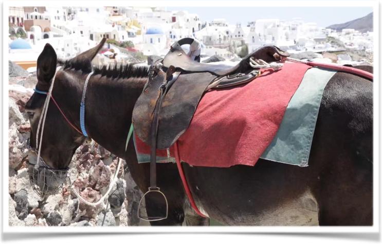 希腊爱琴海的活动,希腊冬季爱琴海