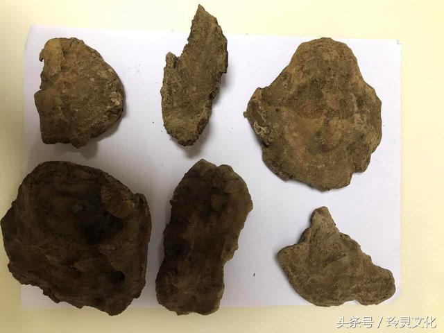 假的越南黑色土沉香,顶级沉香精品图片大全