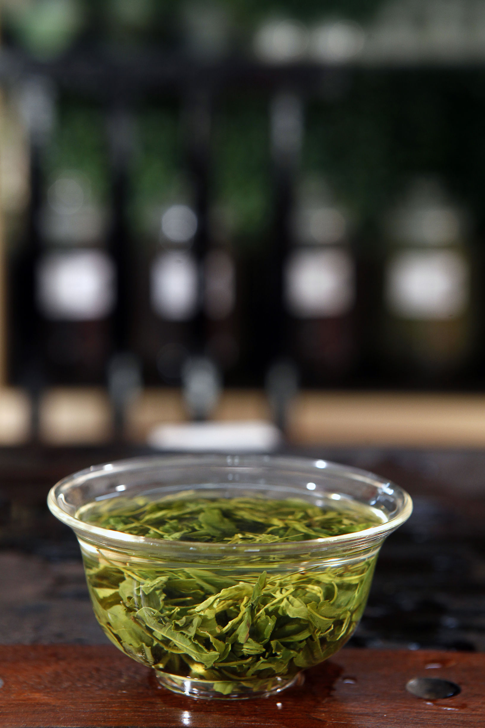 崂山绿茶海上第一名山,长在哪里的崂山绿茶最好