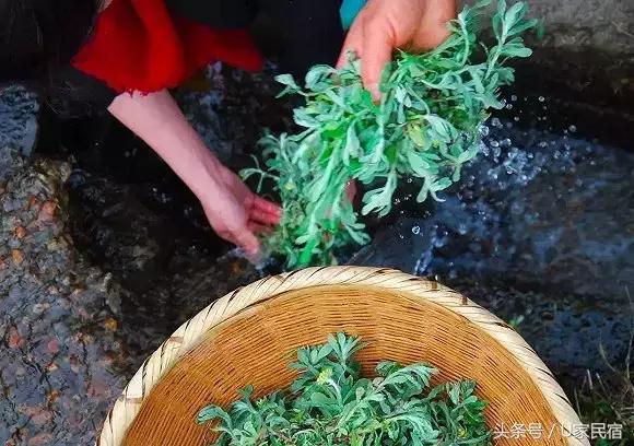 给我一方厨房，还你一桌菜肴