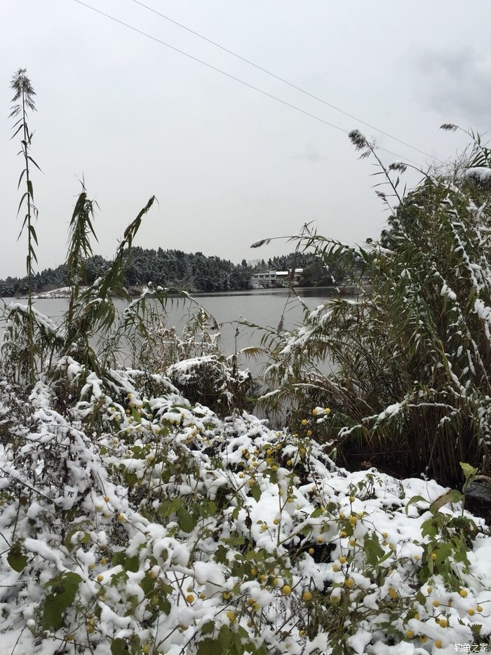 2016第四钓大腰水库