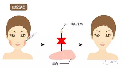 倪妮一样有气质的女明星,倪妮惊艳的时尚女神