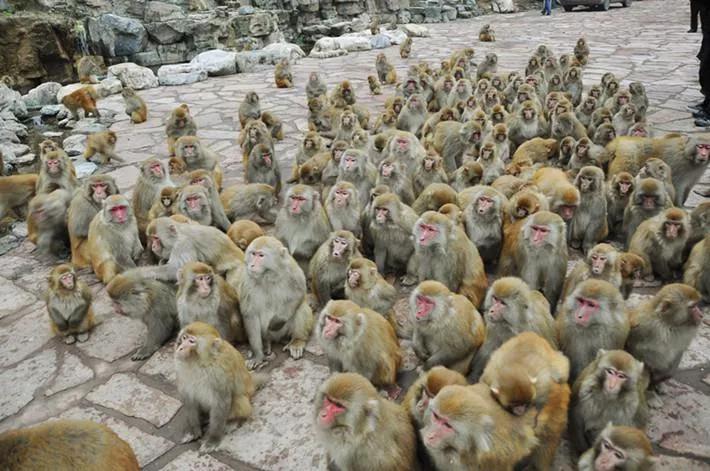 山西蟒河一游,蟒河好风光